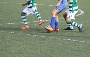 6a2fb8256b3f3_foot35.jpg